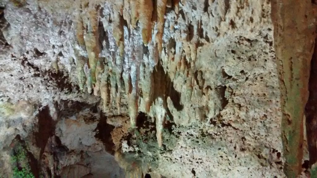 Cenote Stalagmites and Stalagtites 0002