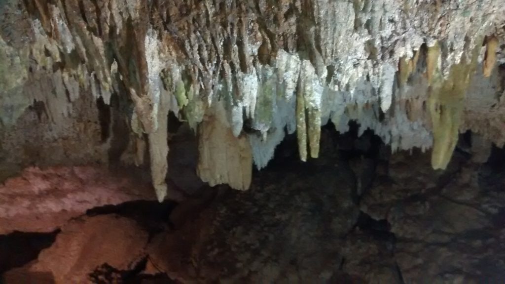 Cenote Stalagmites and Stalagtites 0004